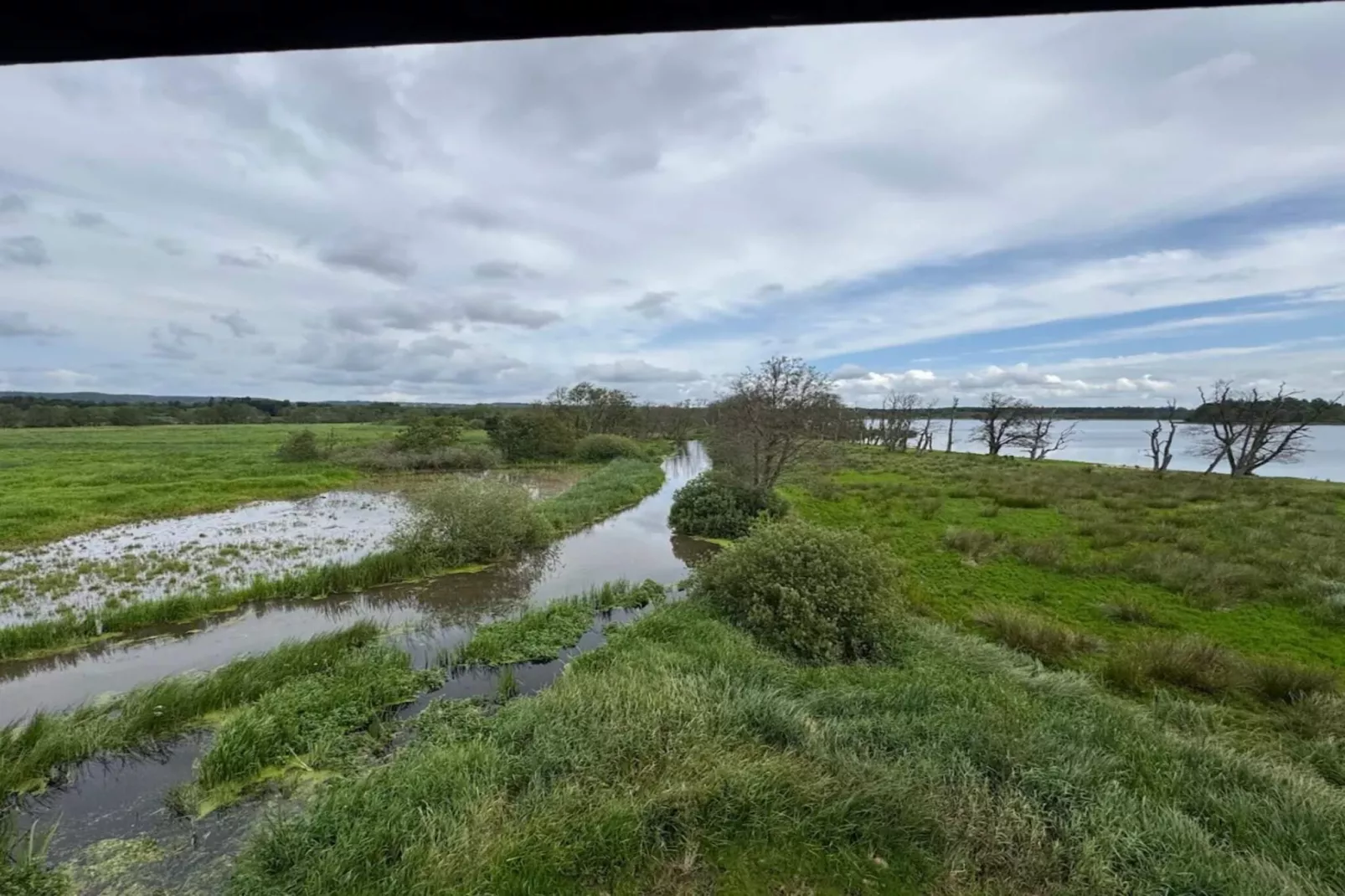 Vakantiehuis aan het meer met bos-Waterzicht