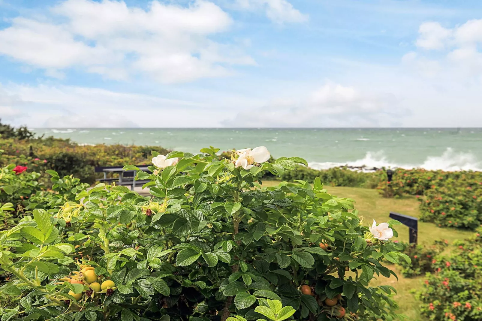 6 persoons vakantie huis in Gilleleje-By Traum-Waterzicht