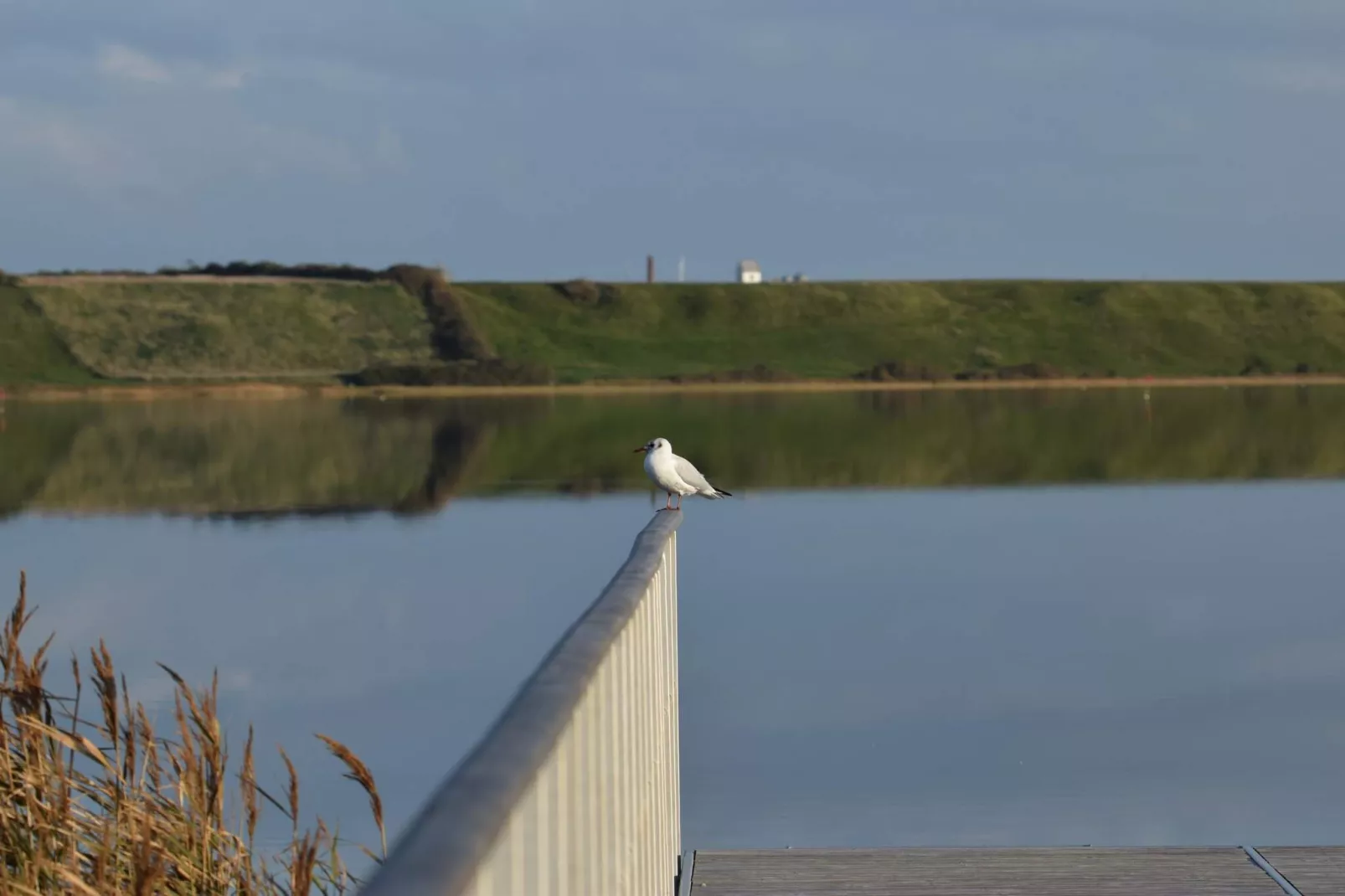 Kust retraite met sauna -- By Traum Ferienwohnungen-Waterzicht