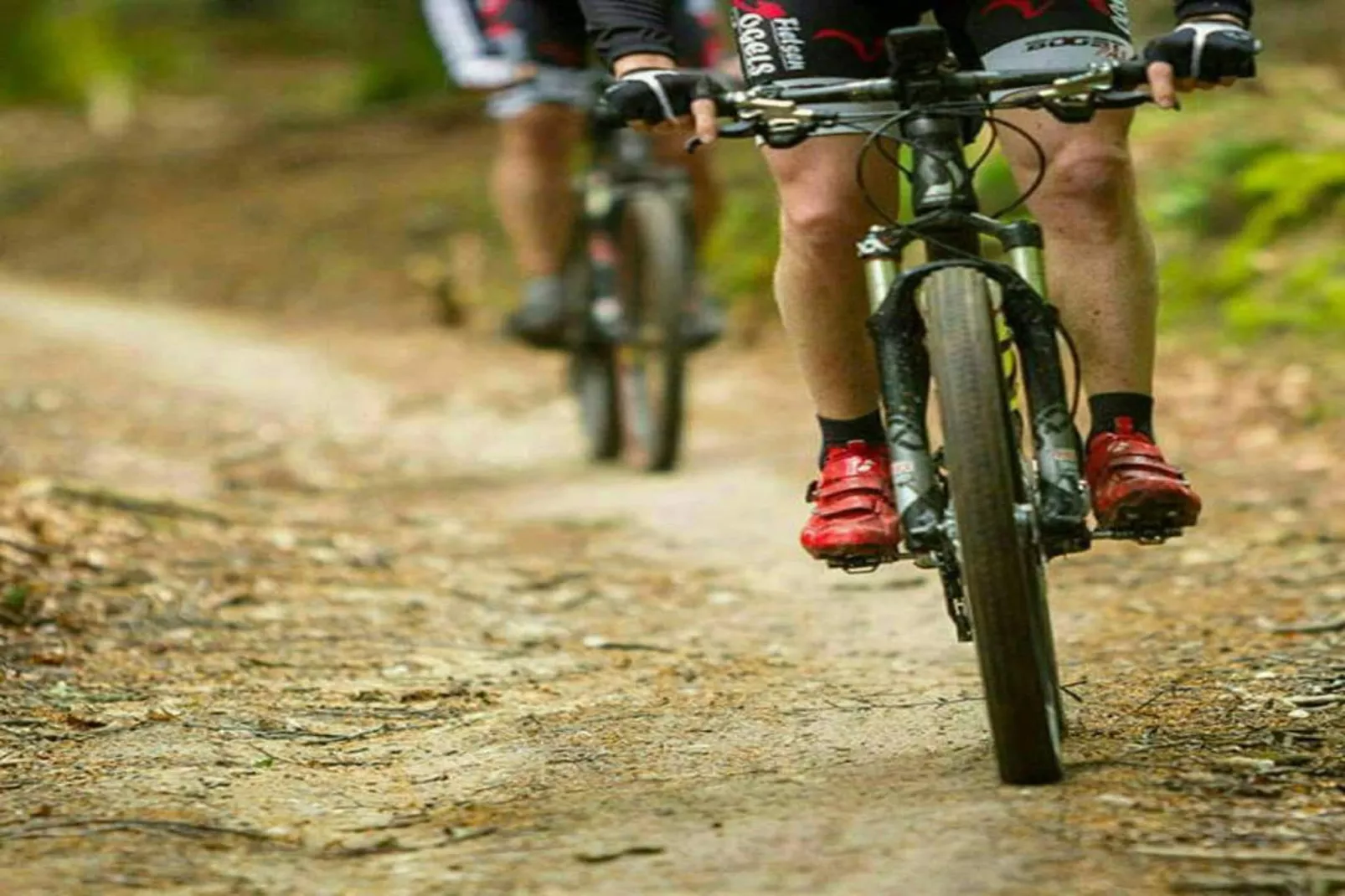 Le Cerf Volant-Gebieden zomer 20km