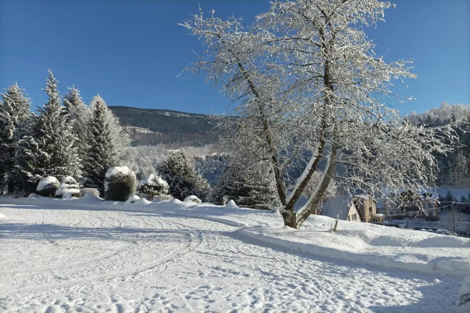 Rokytno-Gebied winter 20km