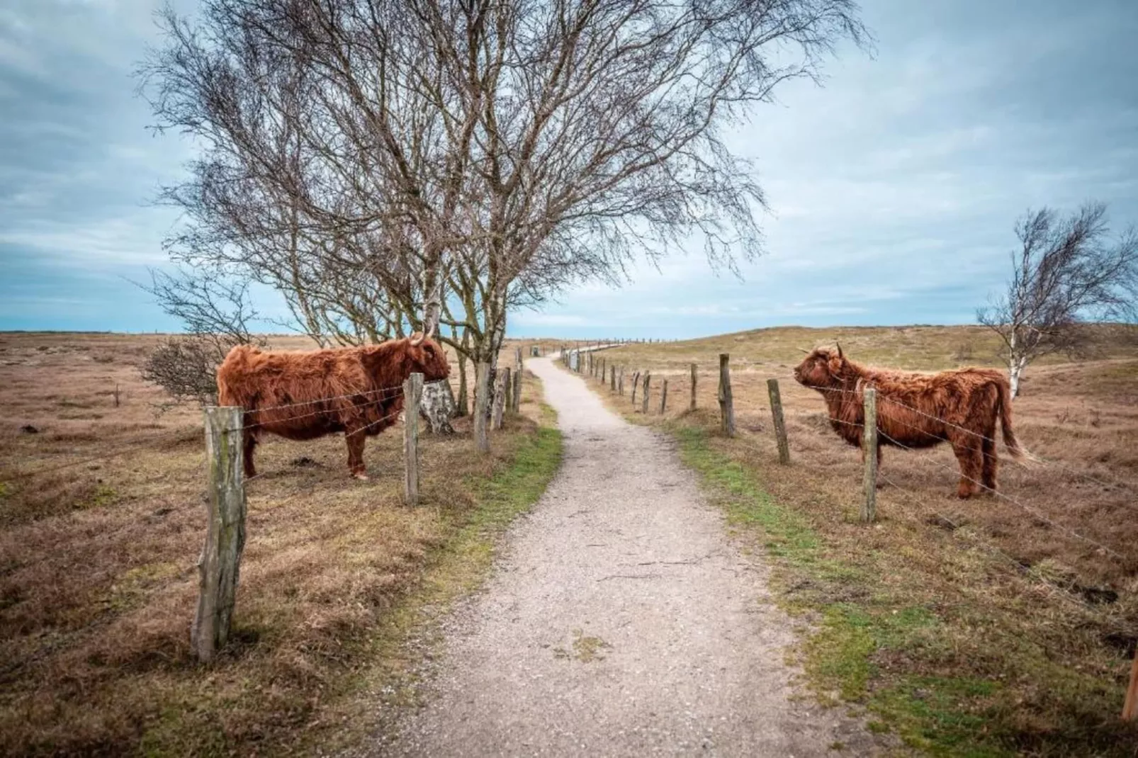 Seestrasse in der Mecklenburgischen Schweiz-Gebieden zomer 20km
