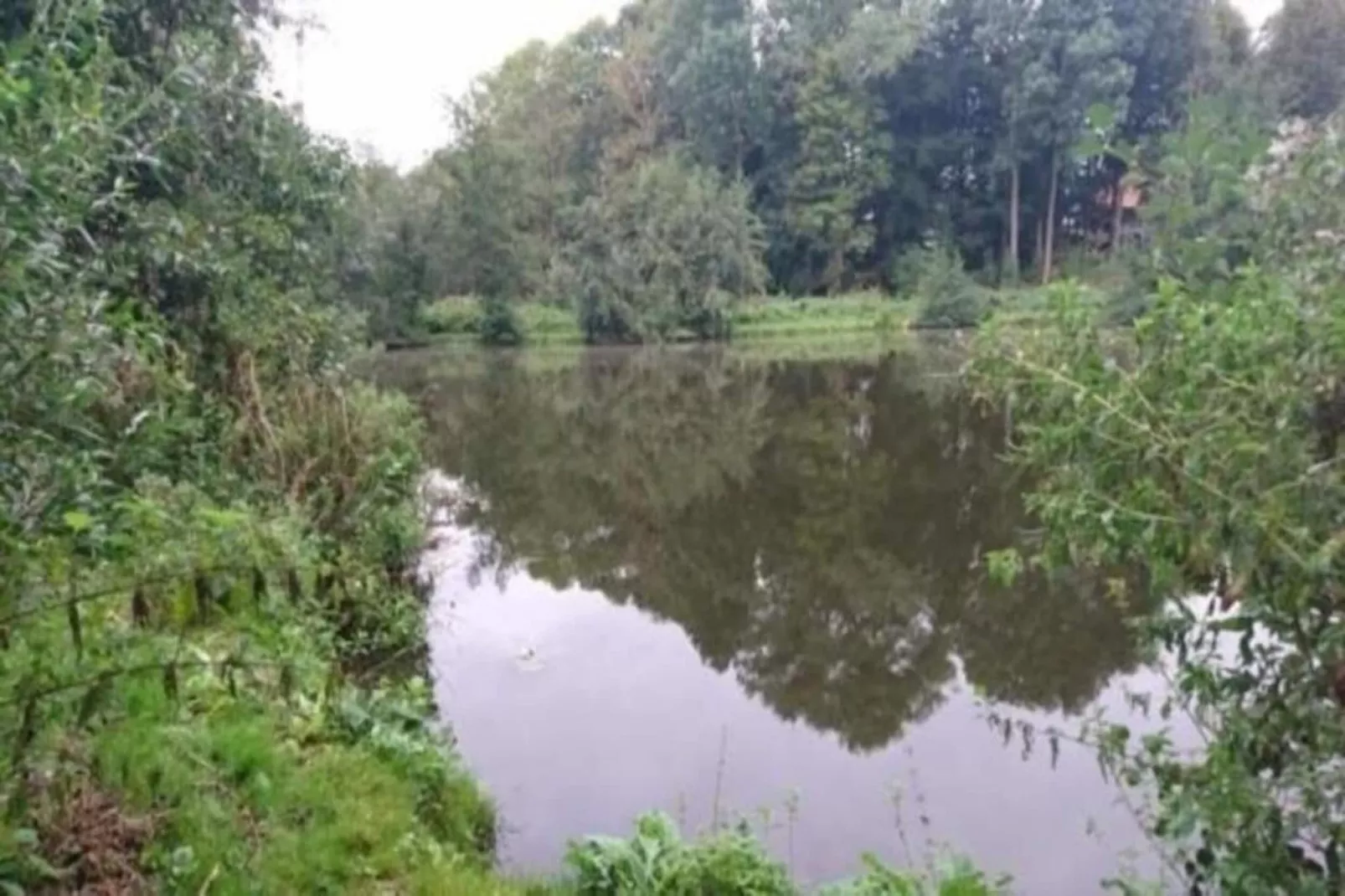 Salzhaff-Finka Pepelow Campingplatz für Surfer-Gebieden zomer 20km