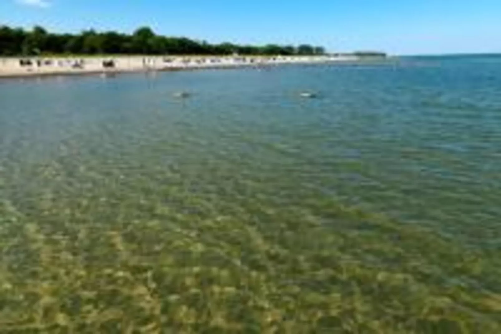 Bungalowanlage Gänseblümchen 7-Gebieden zomer 20km