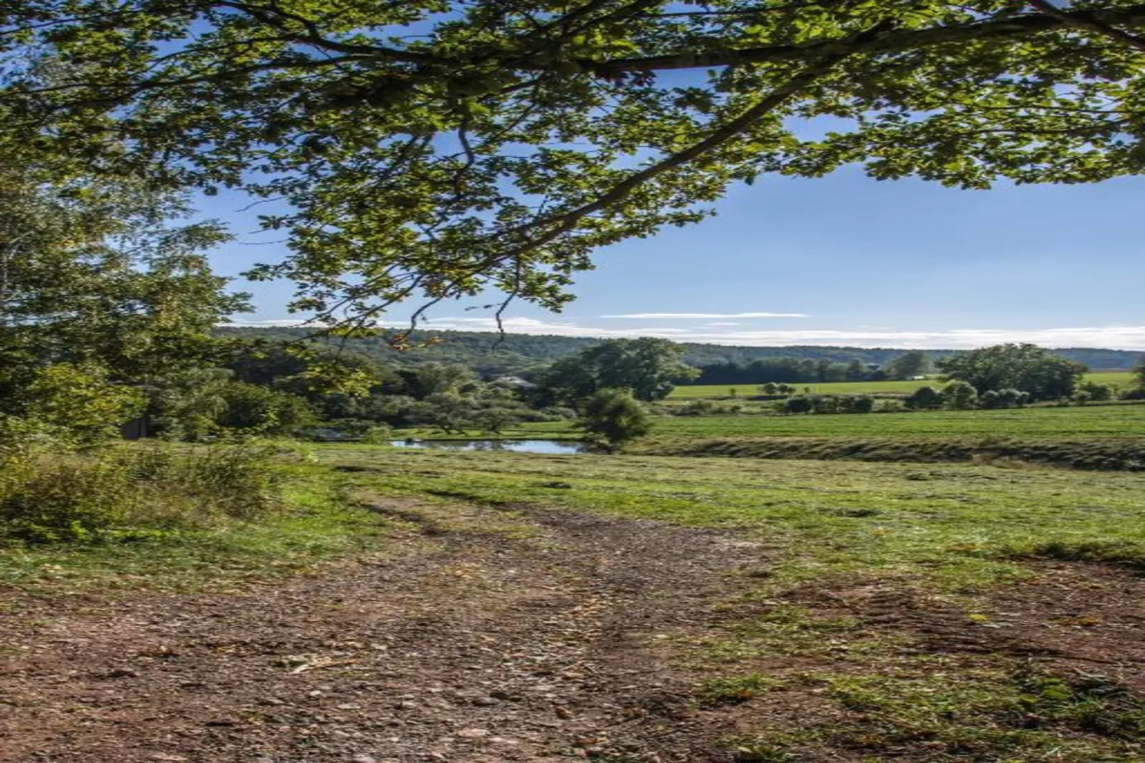 Im Erzgebirge-Gebieden zomer 20km