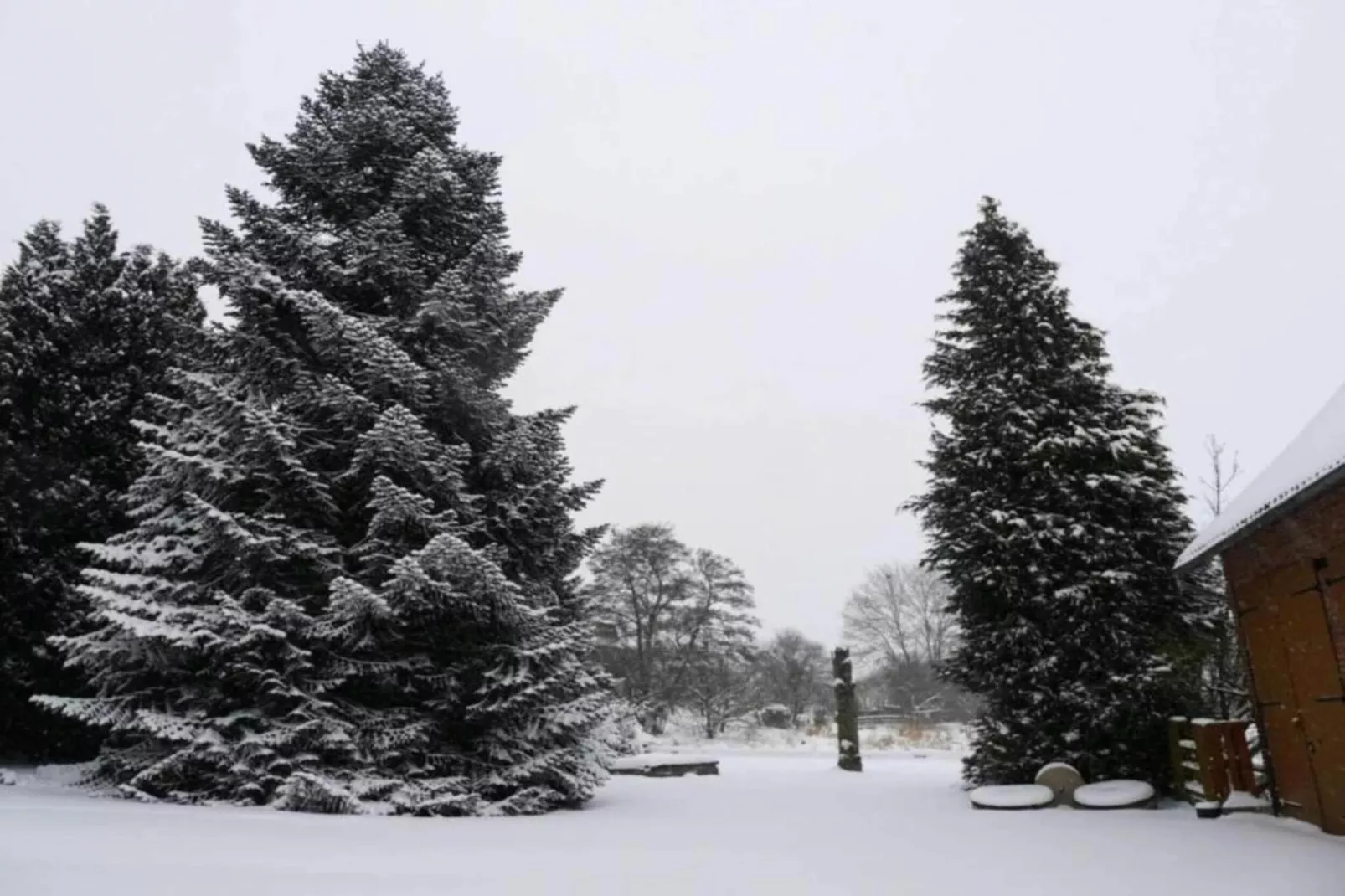 Feriendorf Natur pur 2-Gebied winter 20km