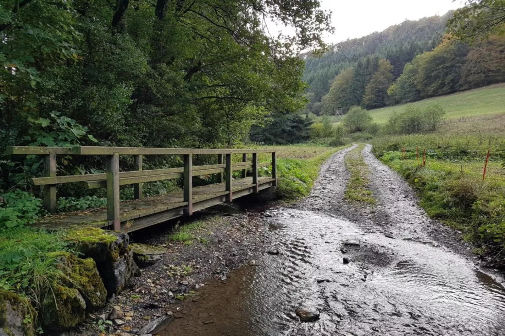 Mühlenberg-Gebieden zomer 20km