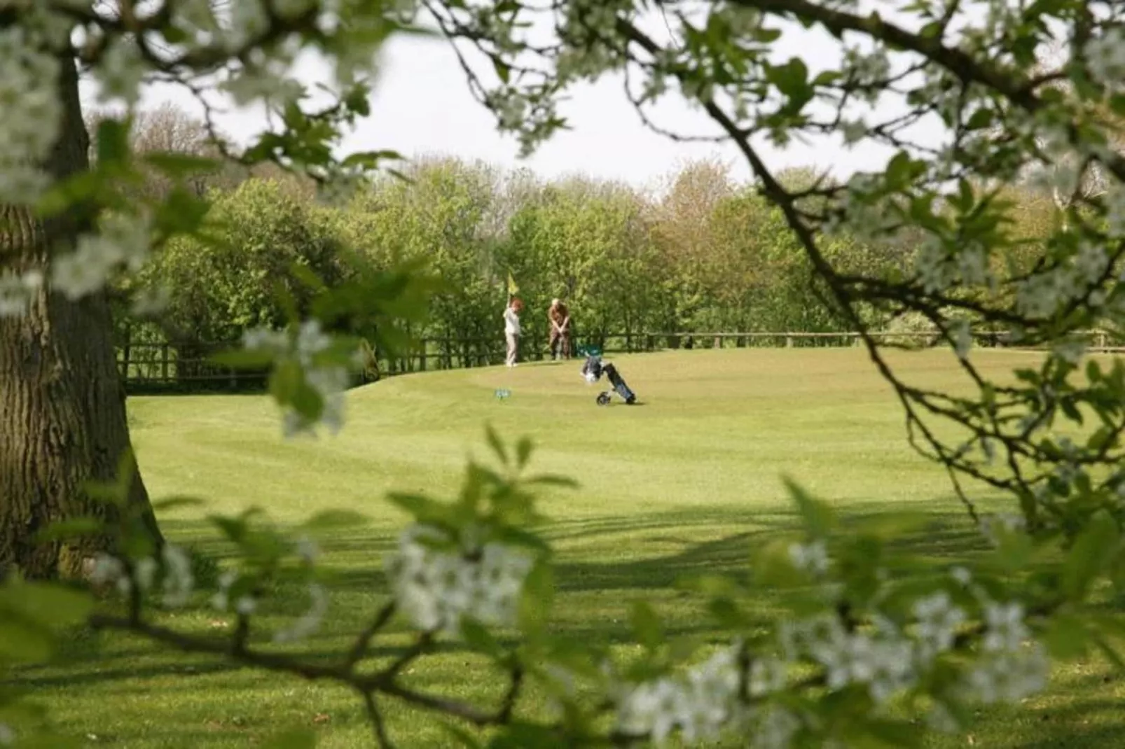 Ferienresort Bad Bentheim 8-Gebieden zomer 20km