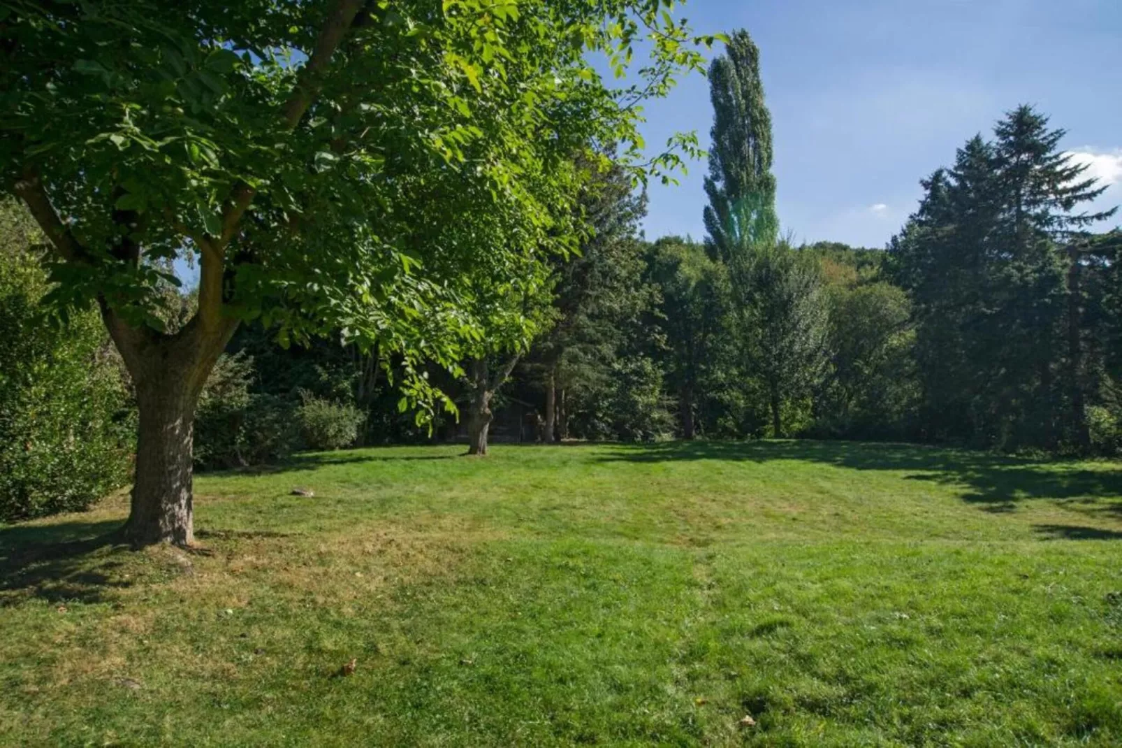 Resort Eifeler Tor 3-Gebieden zomer 5km