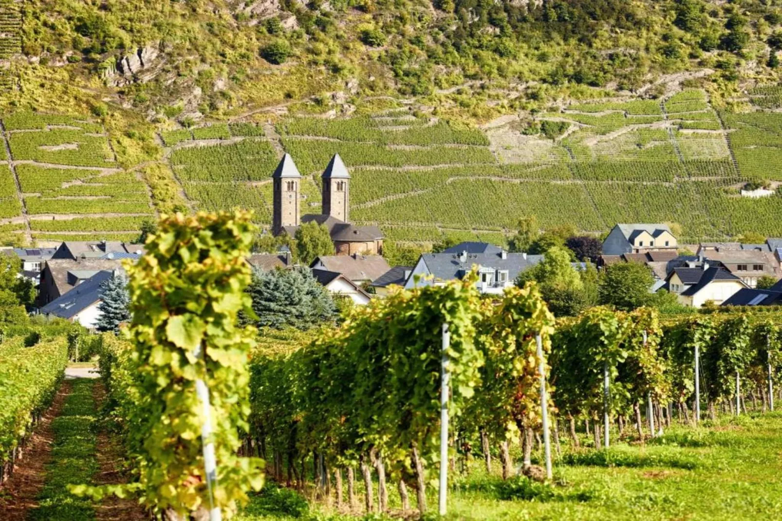 Weingut Hausmann-Gebieden zomer 20km
