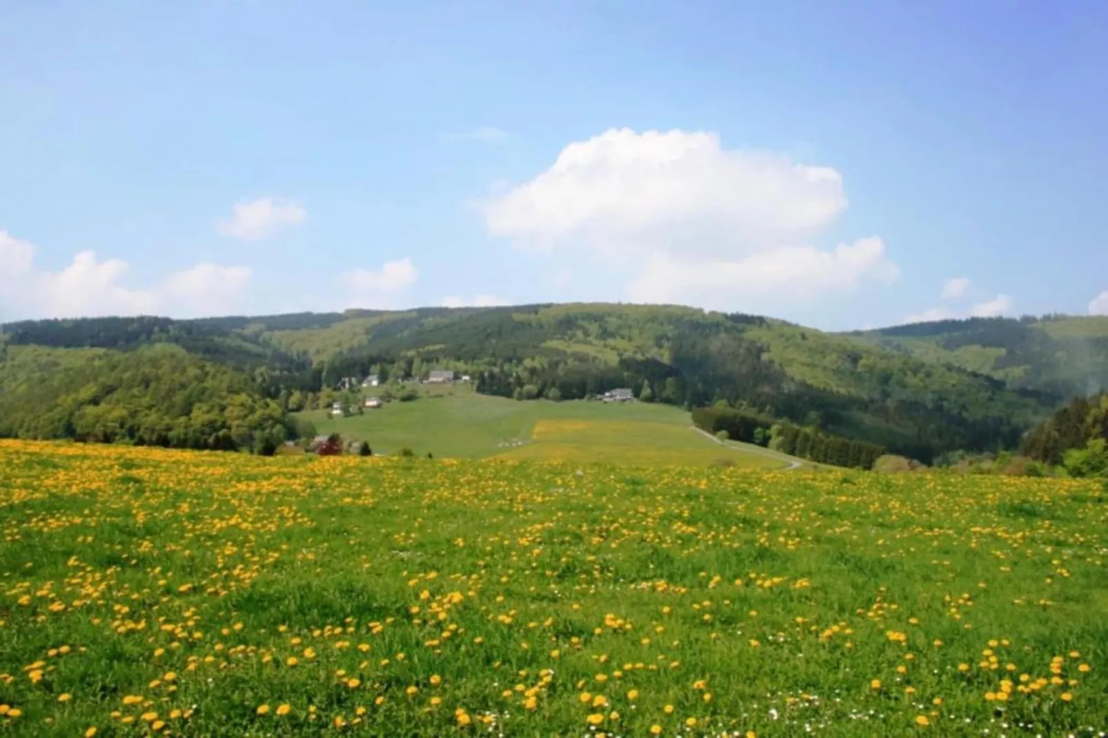 Sauerland-Gebieden zomer 5km