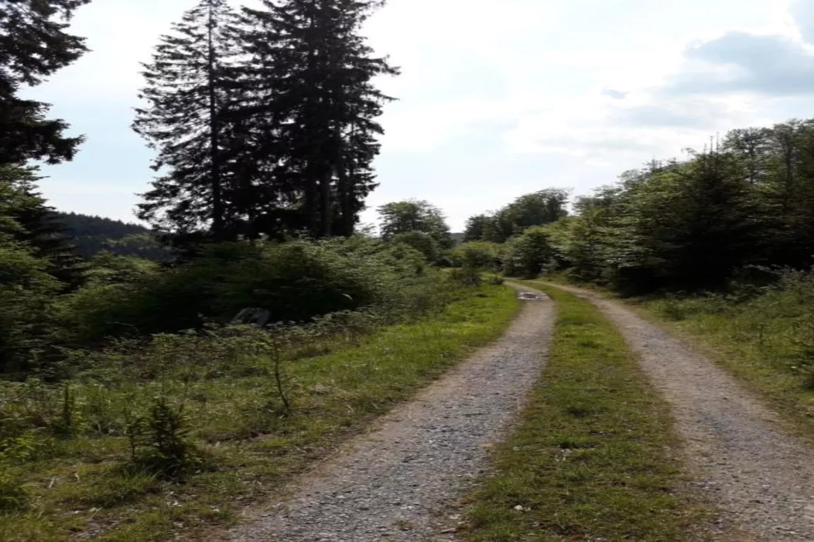 Sauerland-Gebieden zomer 5km