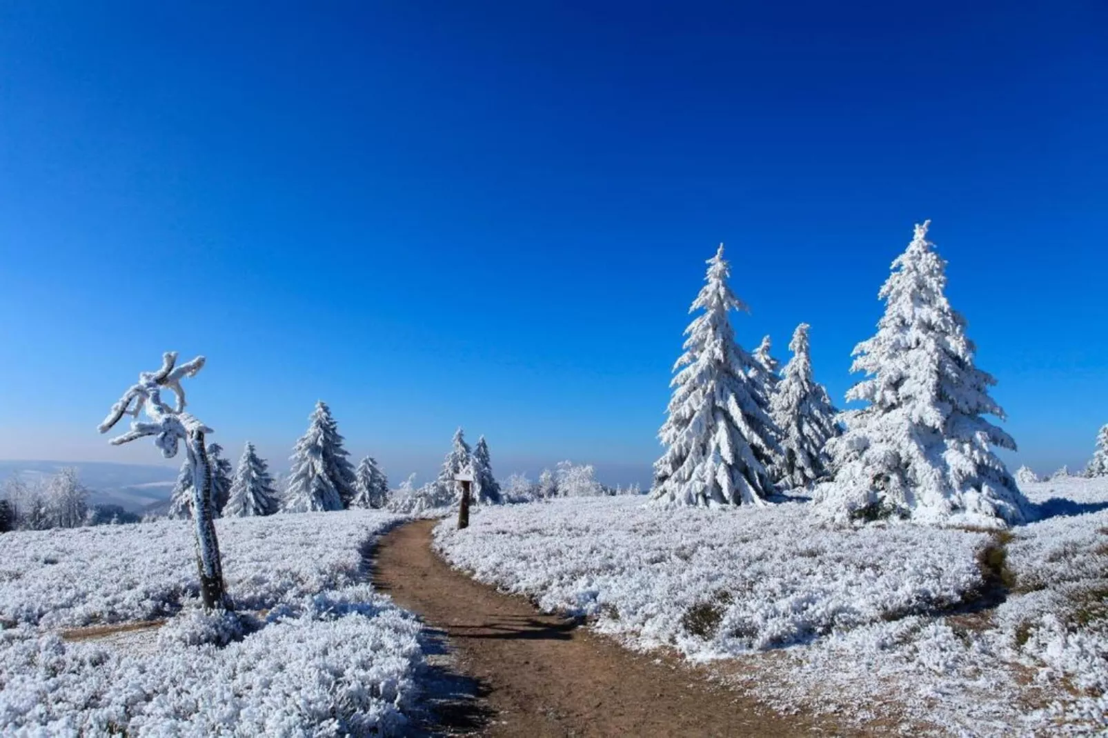 Bergresort Winterberg 1 - Gebied winter 20km