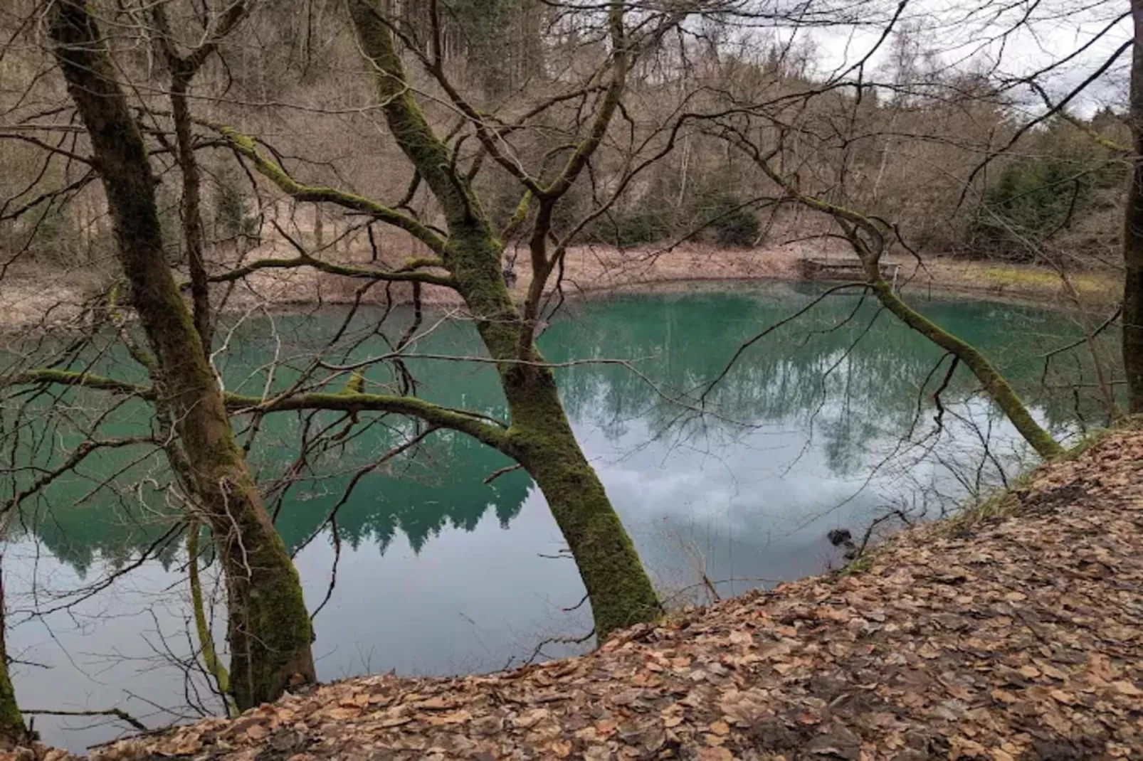 Buchenweg 13 - Kappenblick-Gebieden zomer 5km