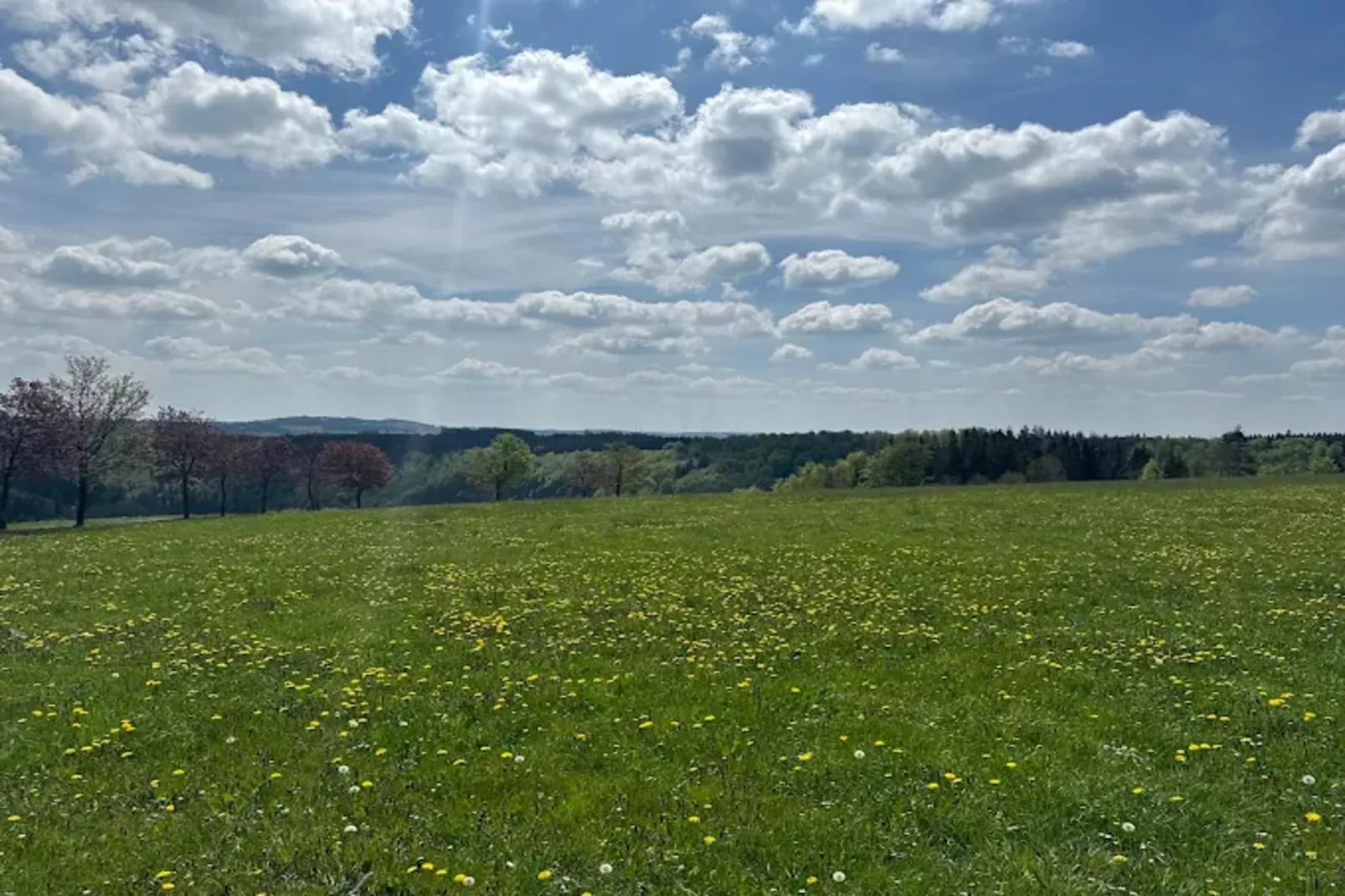 Neuastenberger Straße 4 - Neuastenberg-Gebieden zomer 5km