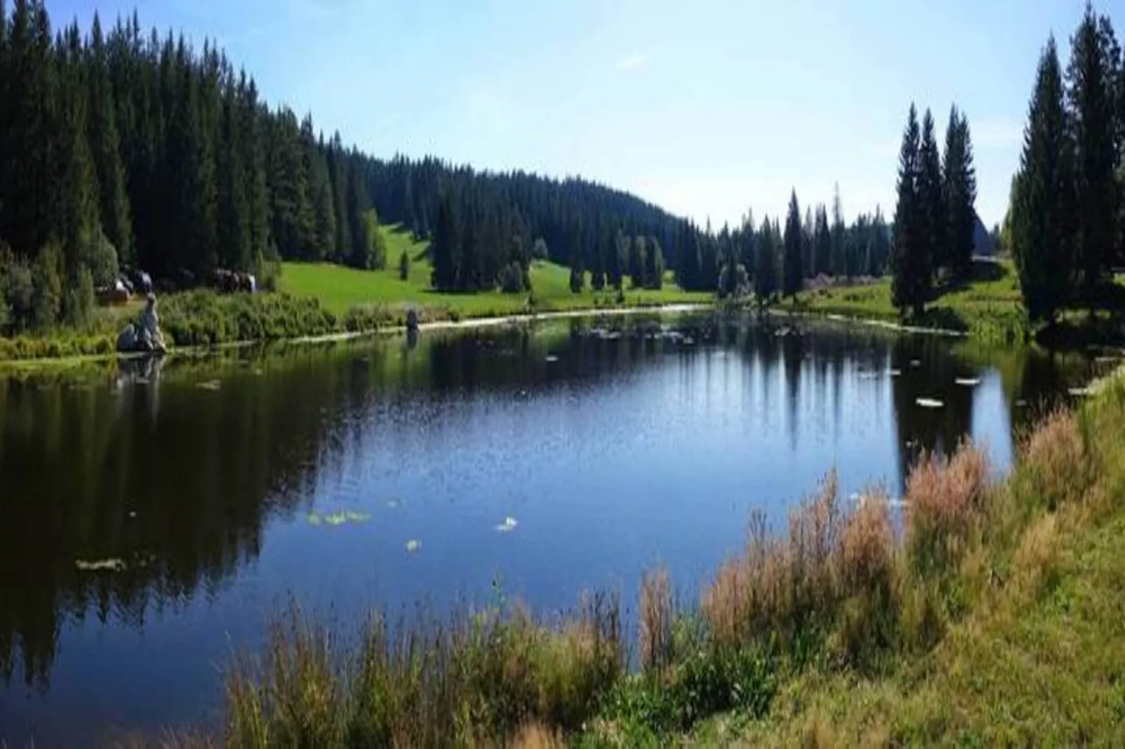 Schwarzwald - Gummenstein-Gebieden zomer 20km