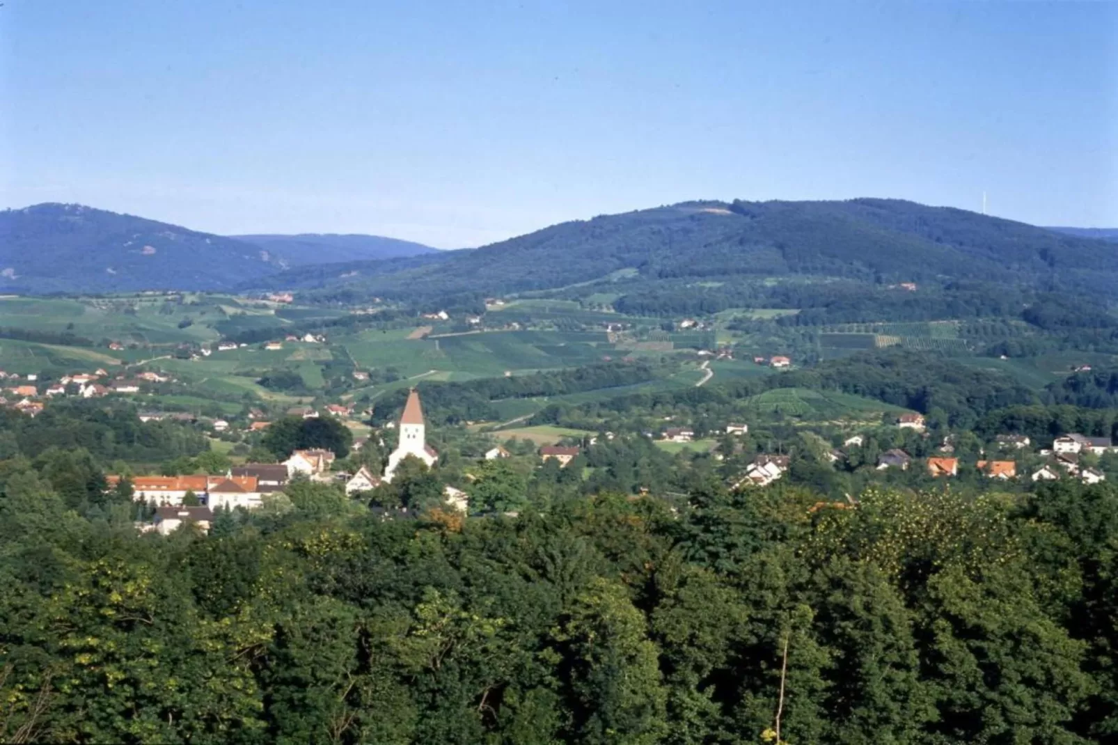 Neukirch-Gebied winter 20km