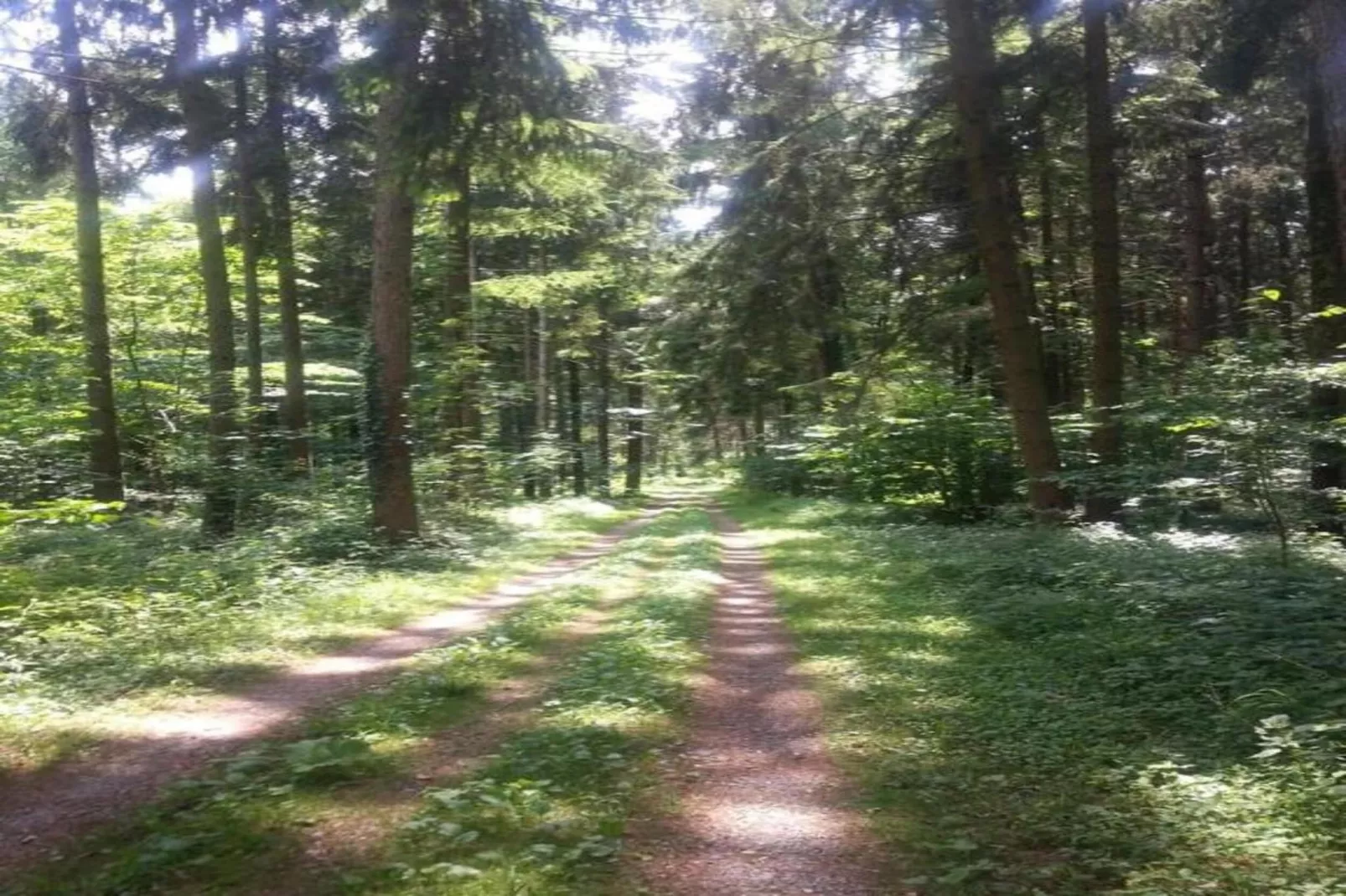 Markdorf-Gebieden zomer 20km