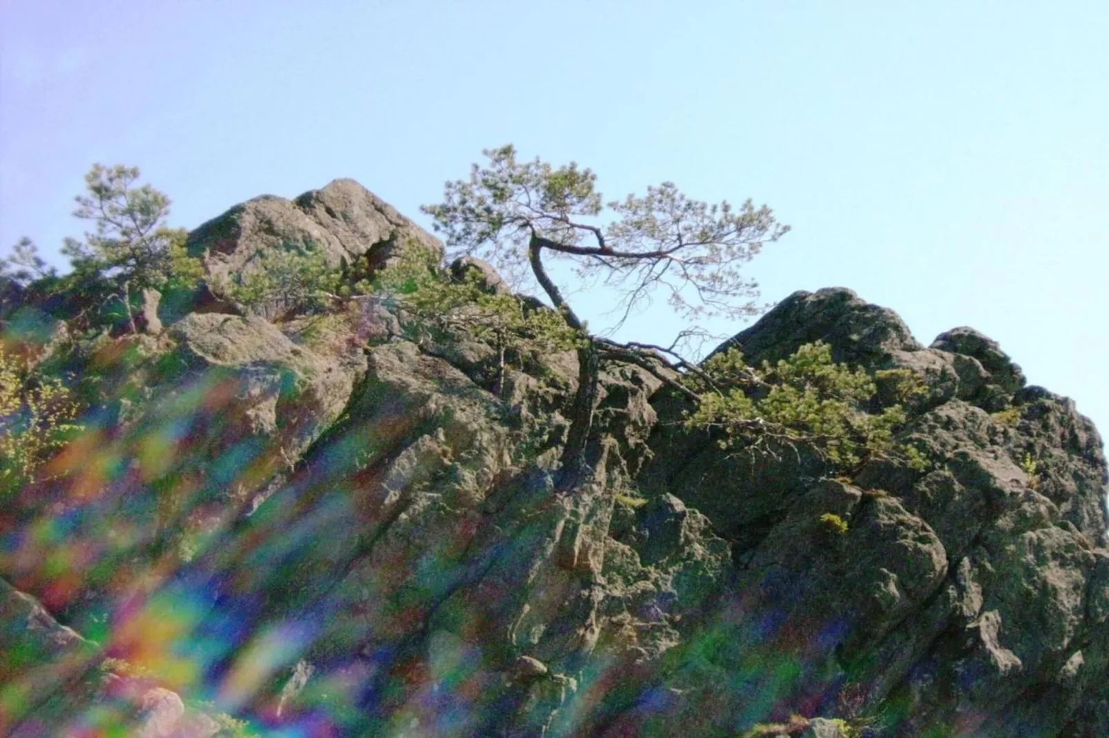 Schloßbergblick-Gebieden zomer 20km