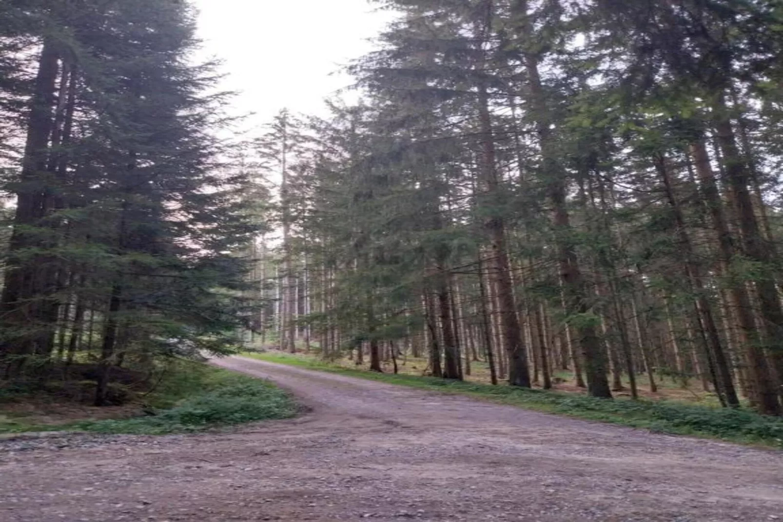 Vakantiehuis met sauna in Viechtach-Gebieden zomer 20km
