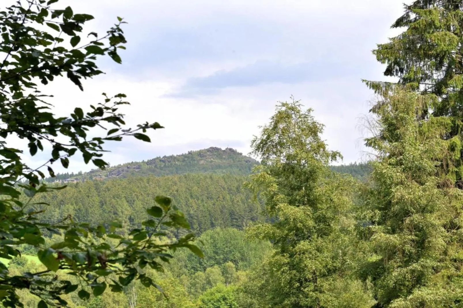 Bayerischer Wald-Gebieden zomer 20km