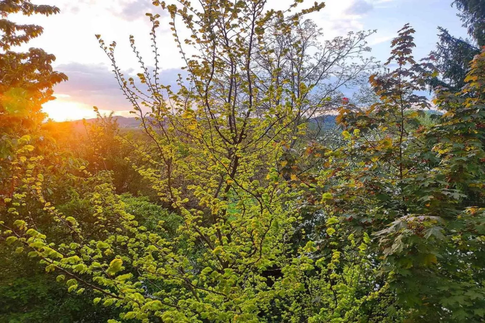 Weißenbrunn-Gebieden zomer 20km