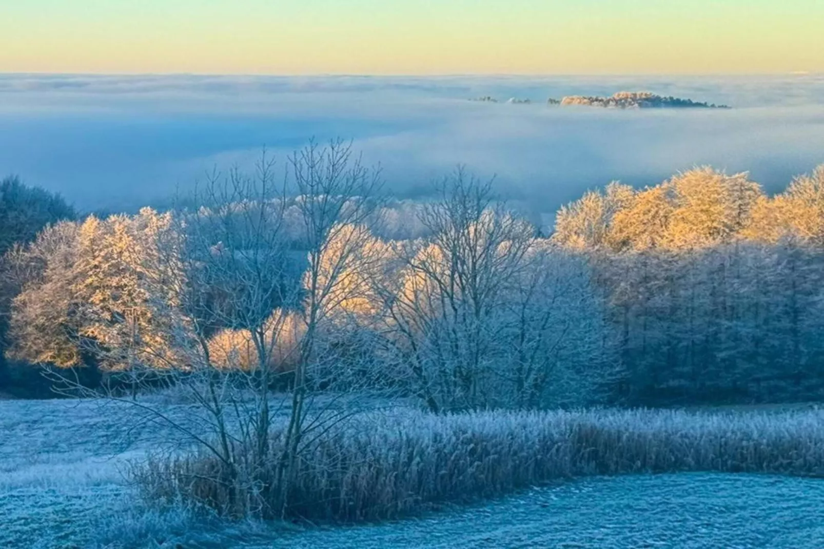 Ferienwohnung Zenting-Gebied winter 20km