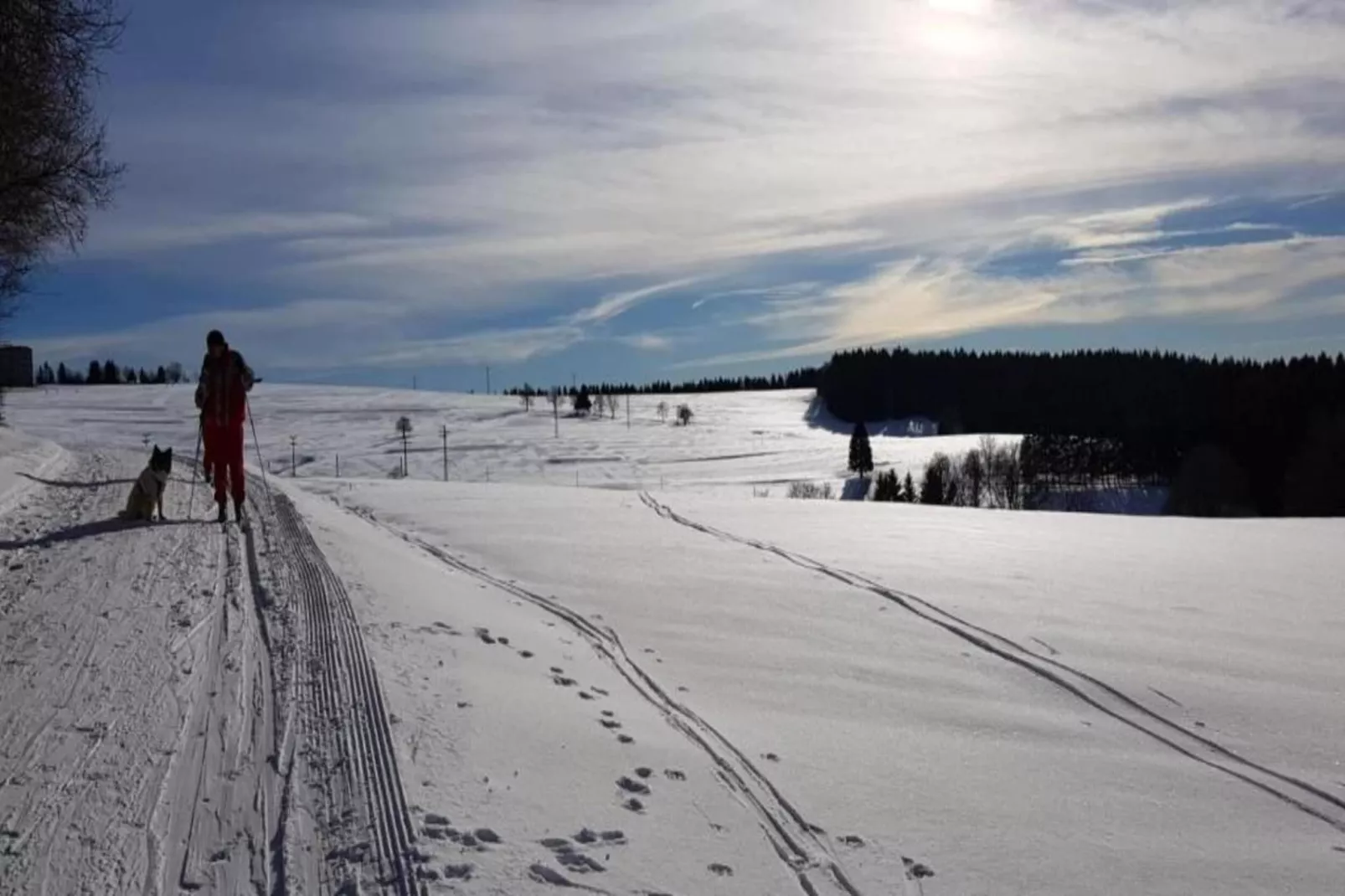 Thüringer Wald-Gebied winter 20km