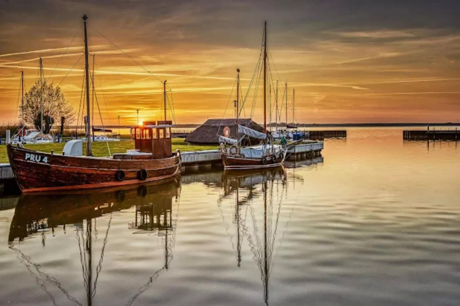 Haubenlerche 14-Gebieden zomer 5km