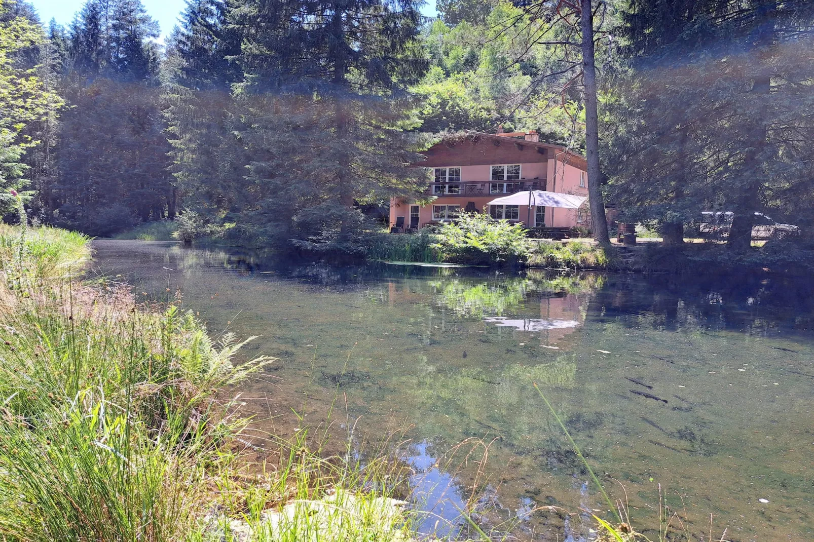 Holiday flats Forellenhof Dabo // Typ C 7 Pers 110 qm-Buitenkant zomer