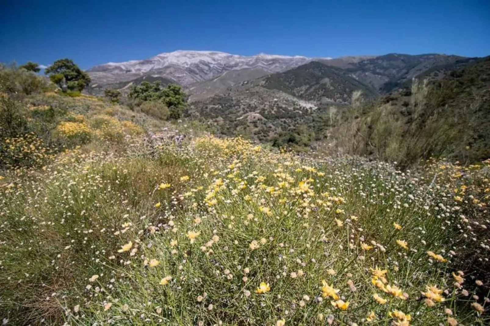 Cortijo las Monjas-Gebieden zomer 20km