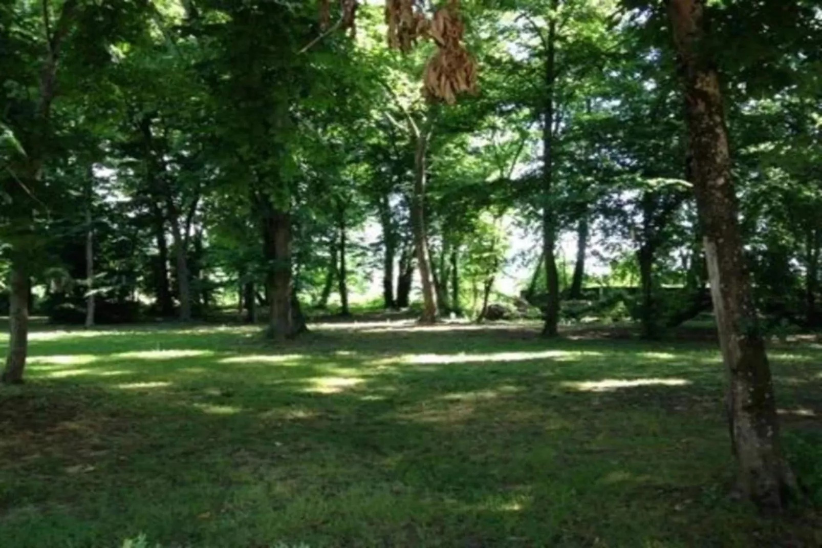 Maison de vacances - Nr 11-Gebieden zomer 20km