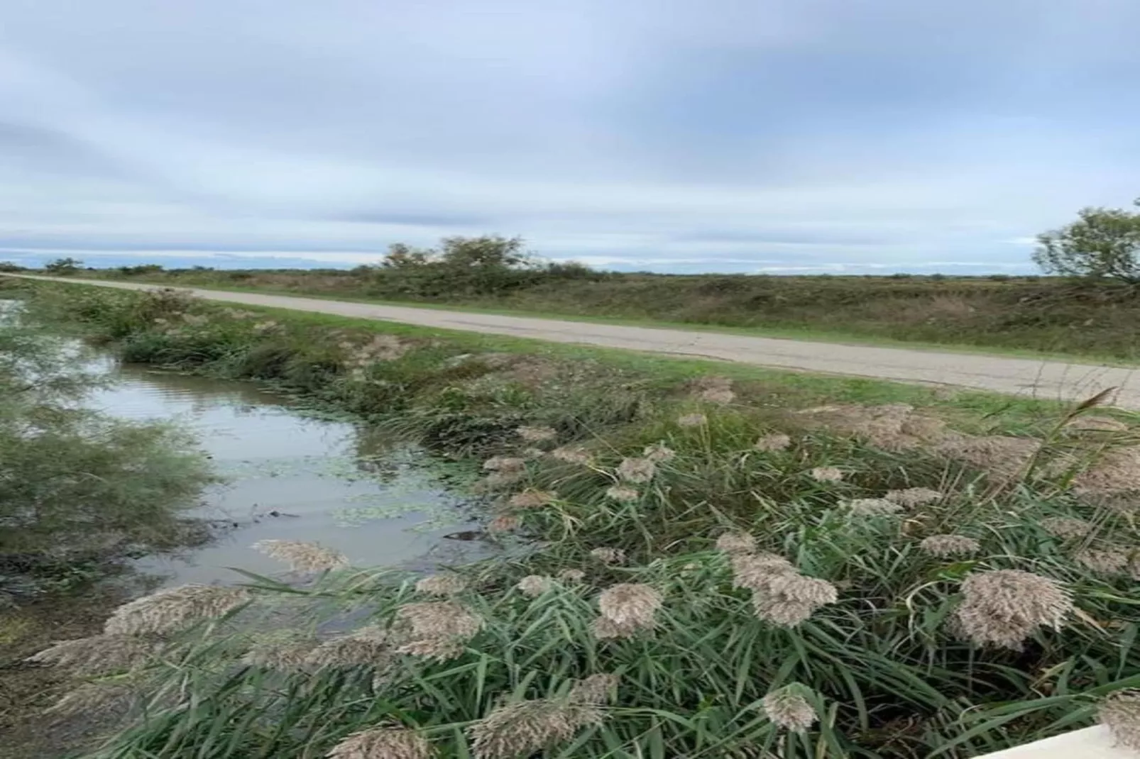 Le village Camarguais Les Gardians 1-Gebieden zomer 20km