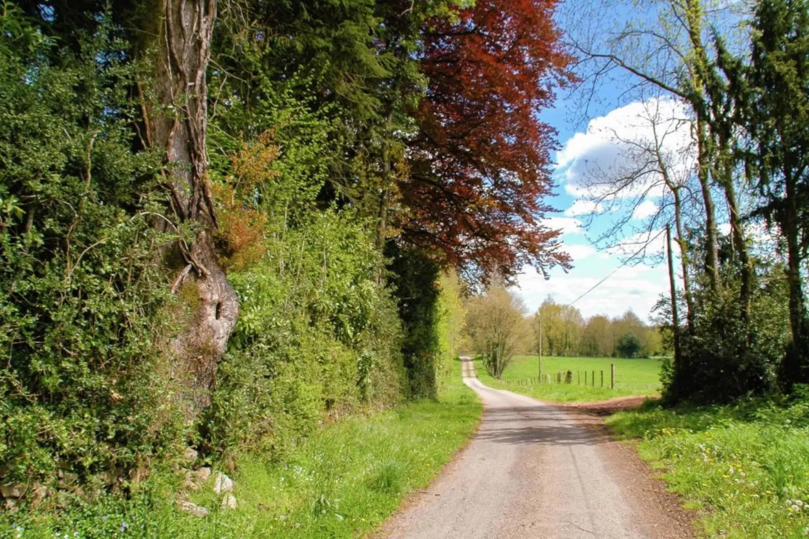 La Belle Vue-Gebieden zomer 5km