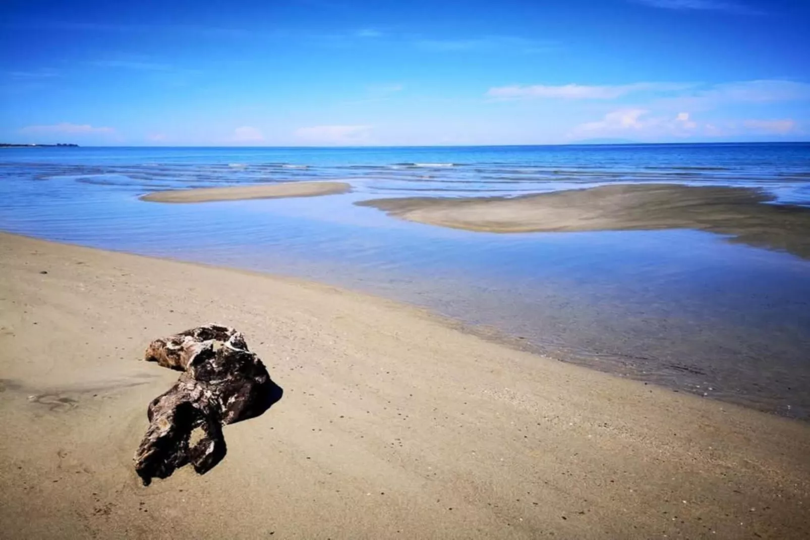 La Safari-Gebieden zomer 1km