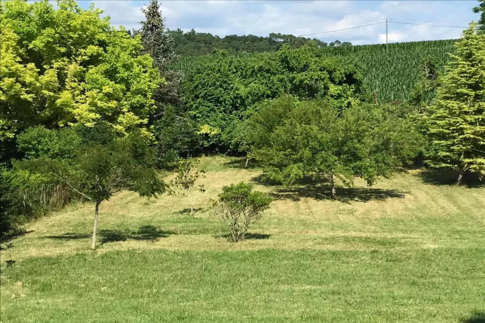 Les Coquelicots-Gebieden zomer 20km