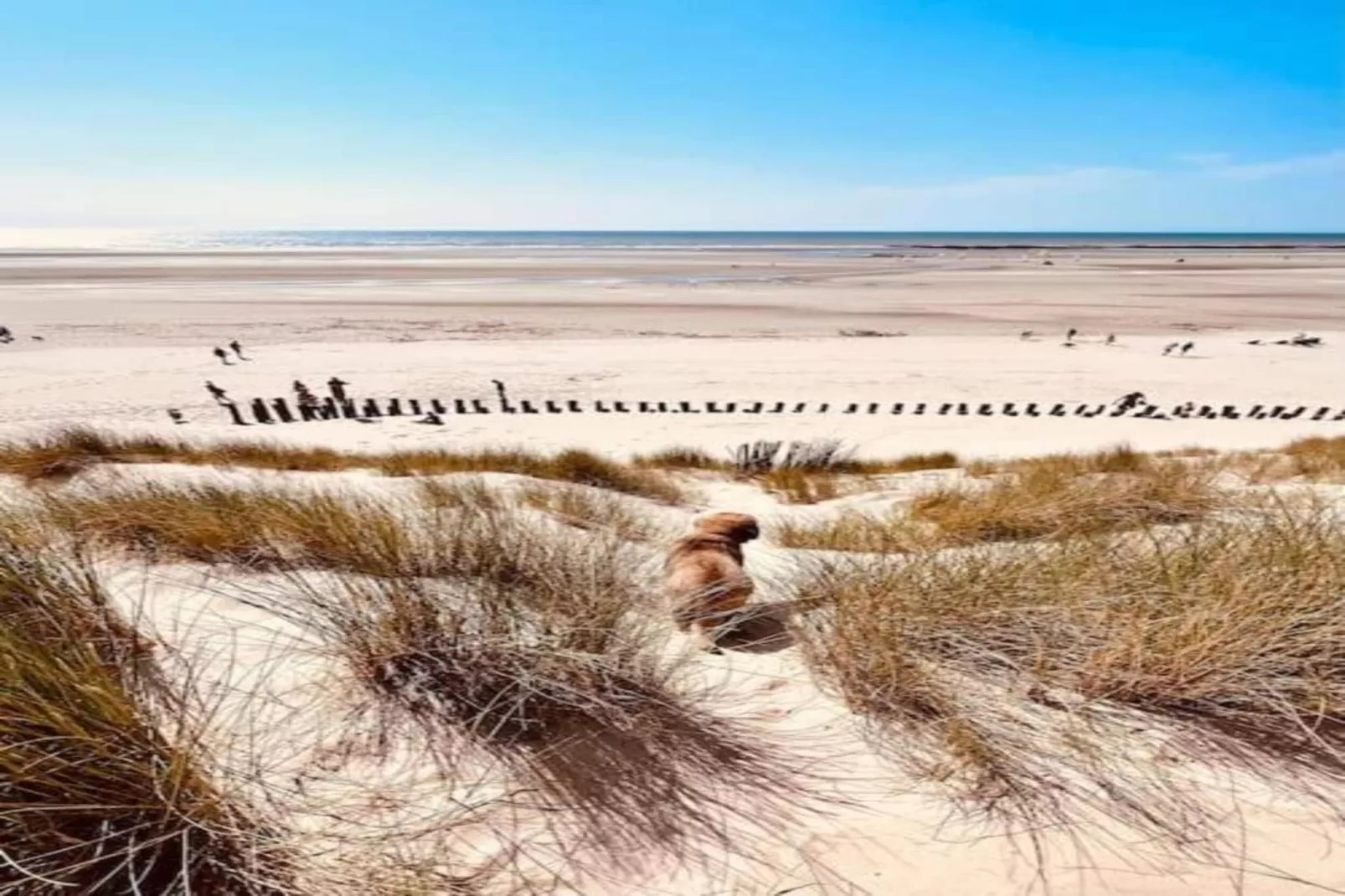 Berck sur Mer 11-Gebieden zomer 20km