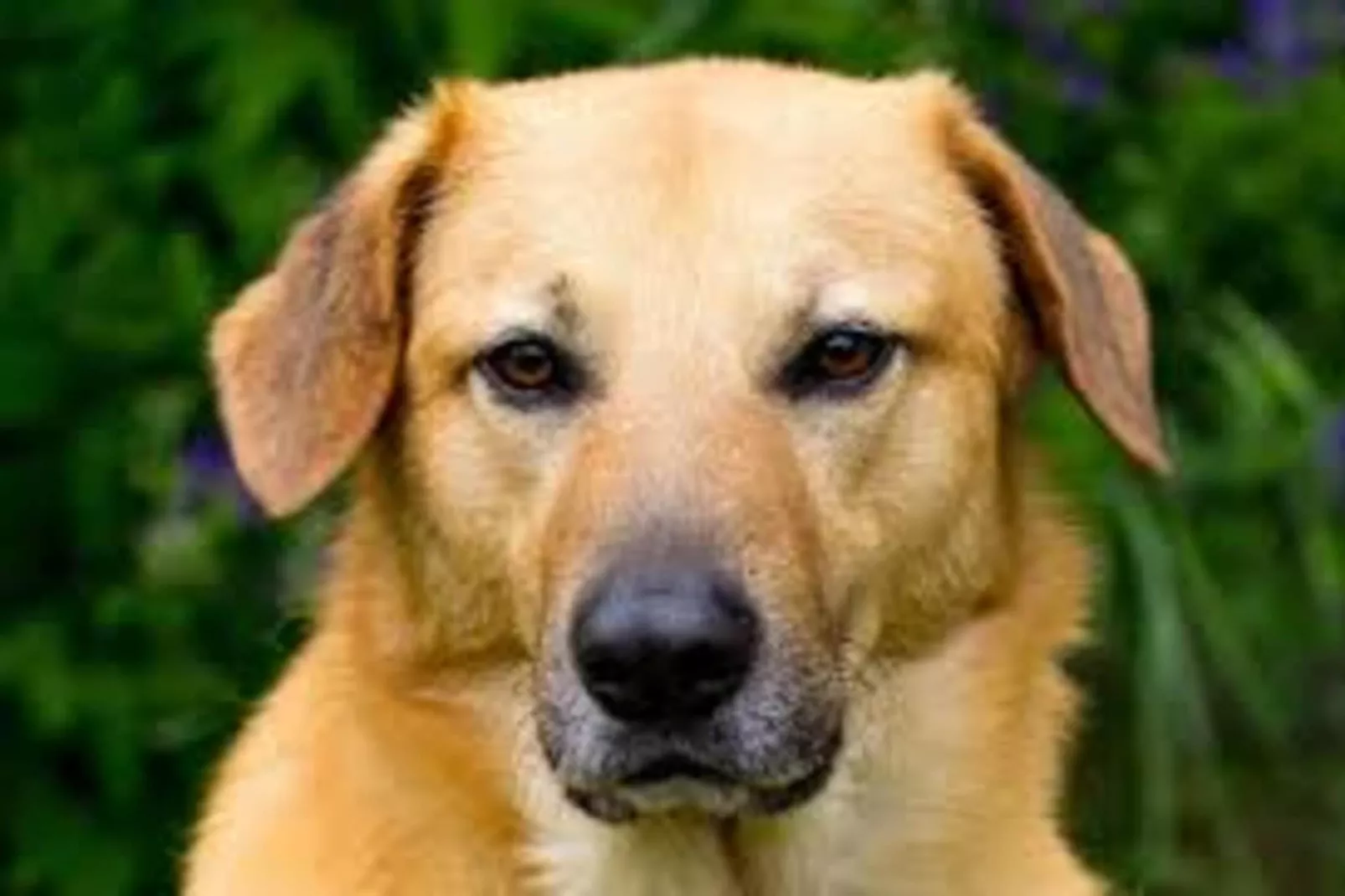 Apt 5 pers piscine partagée -  Jessica-Wellness