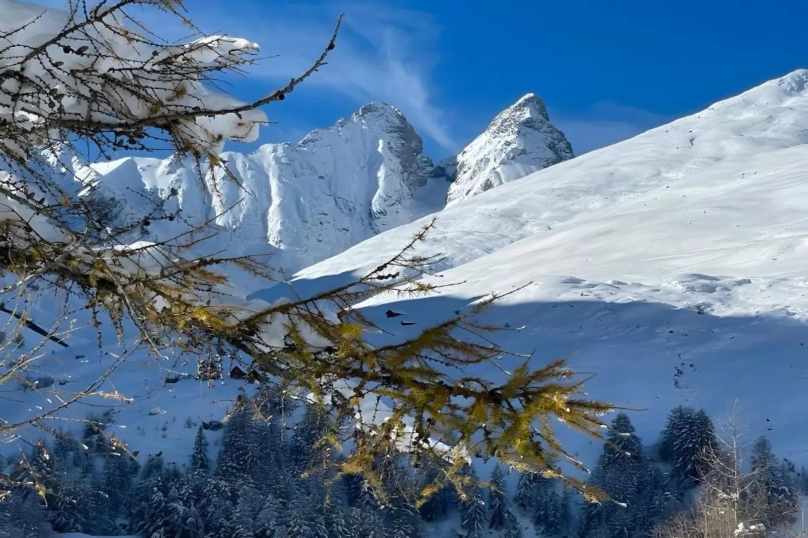 Chalet Le Mas des Neiges-Gebied winter 20km