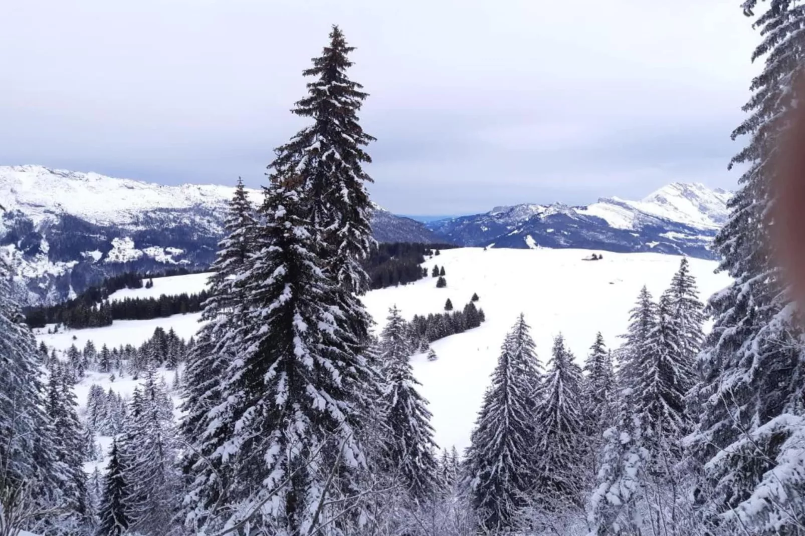 Résidence Prestige Mendi Alde 2-Gebied winter 20km