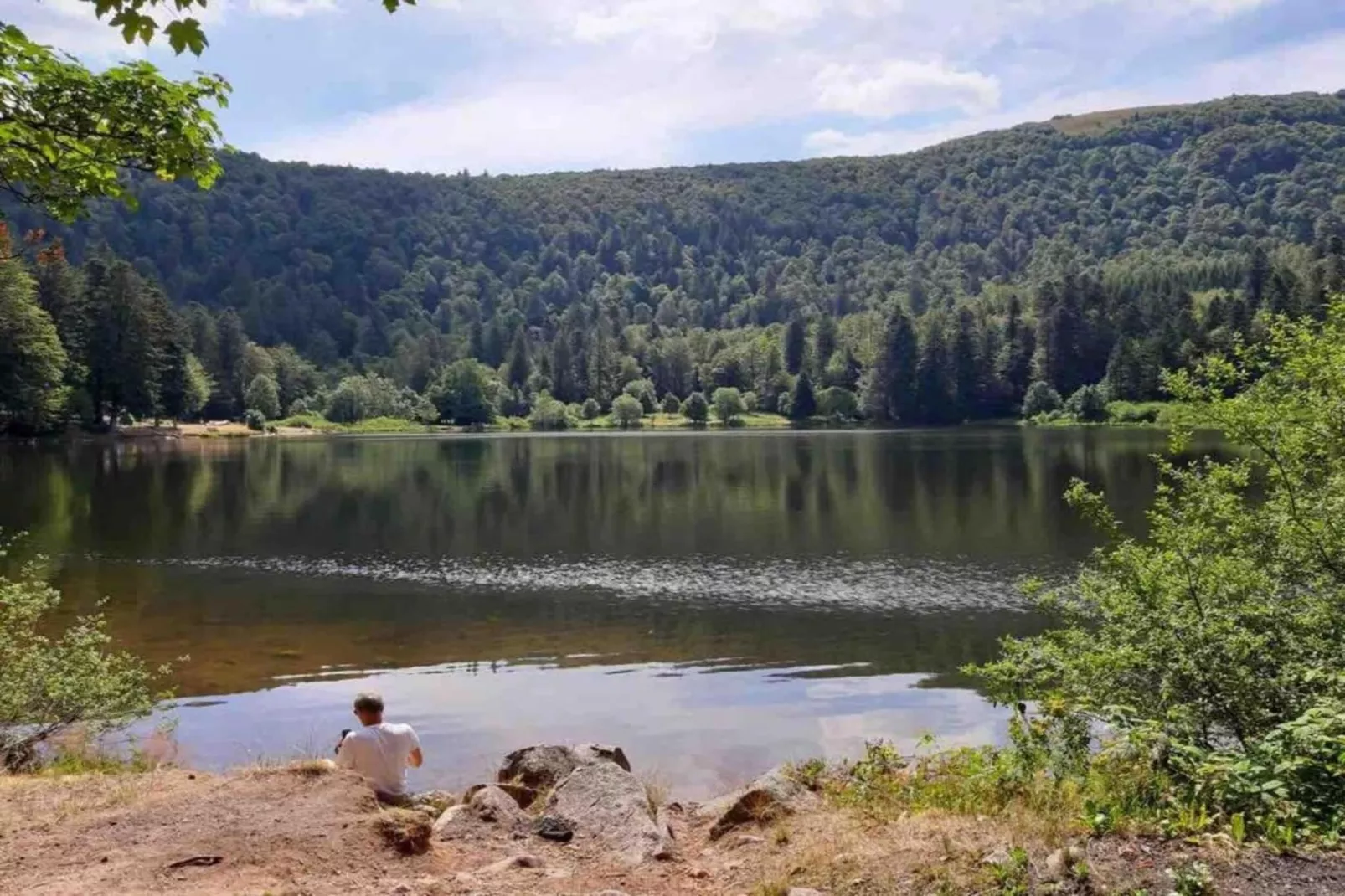 Le Menil-Gebieden zomer 20km