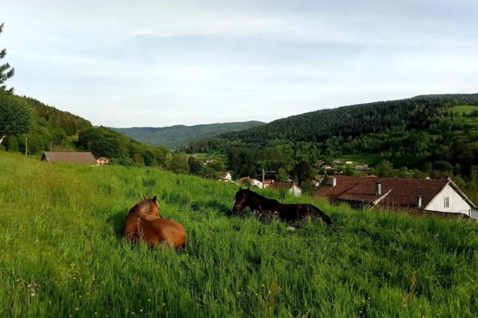 Chalet l'Aigle - Saint-Maurice-sur-Moselle-Gebieden zomer 20km