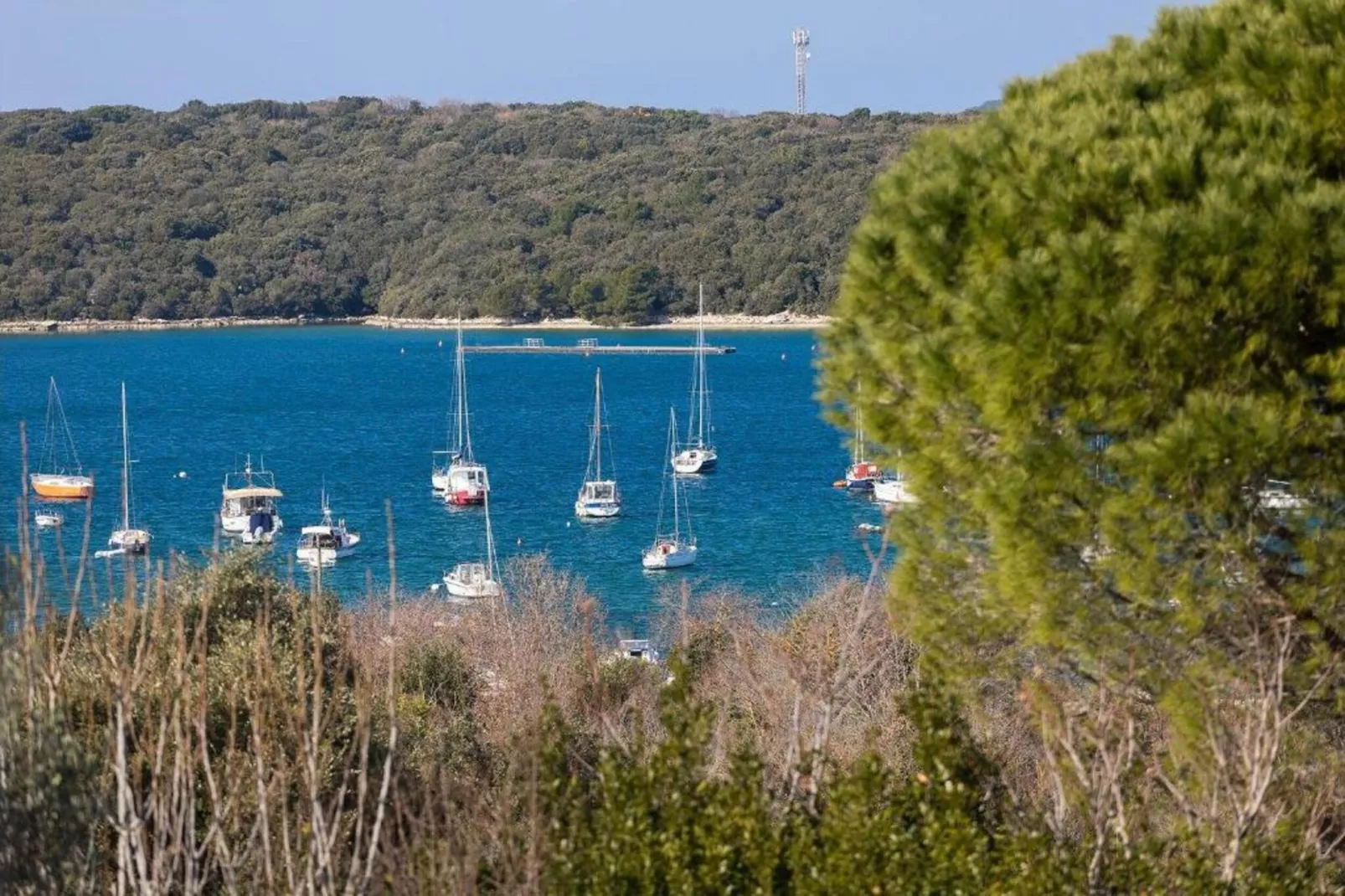 App Musoga 1-Gebieden zomer 20km