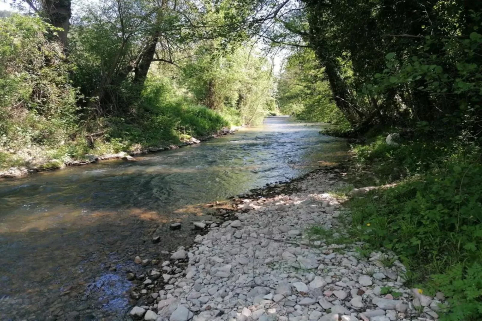 Sangiovese-Gebieden zomer 20km
