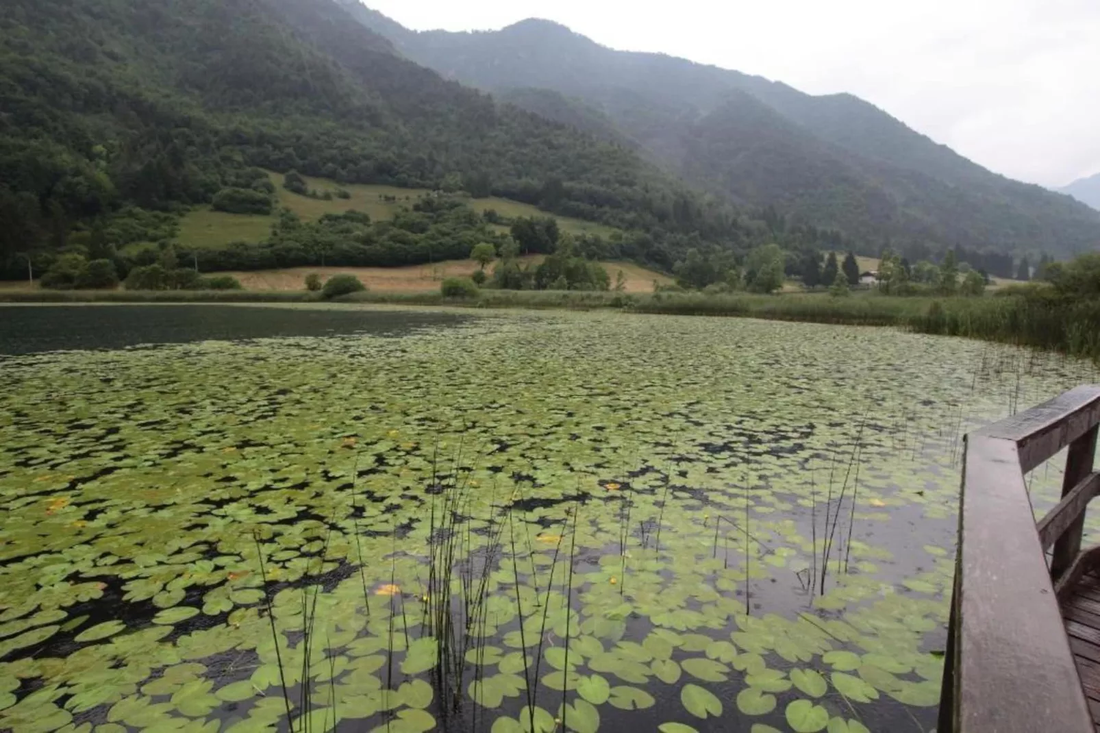 Villa Etti Trilo - Fronte Lago-Gebieden zomer 1km