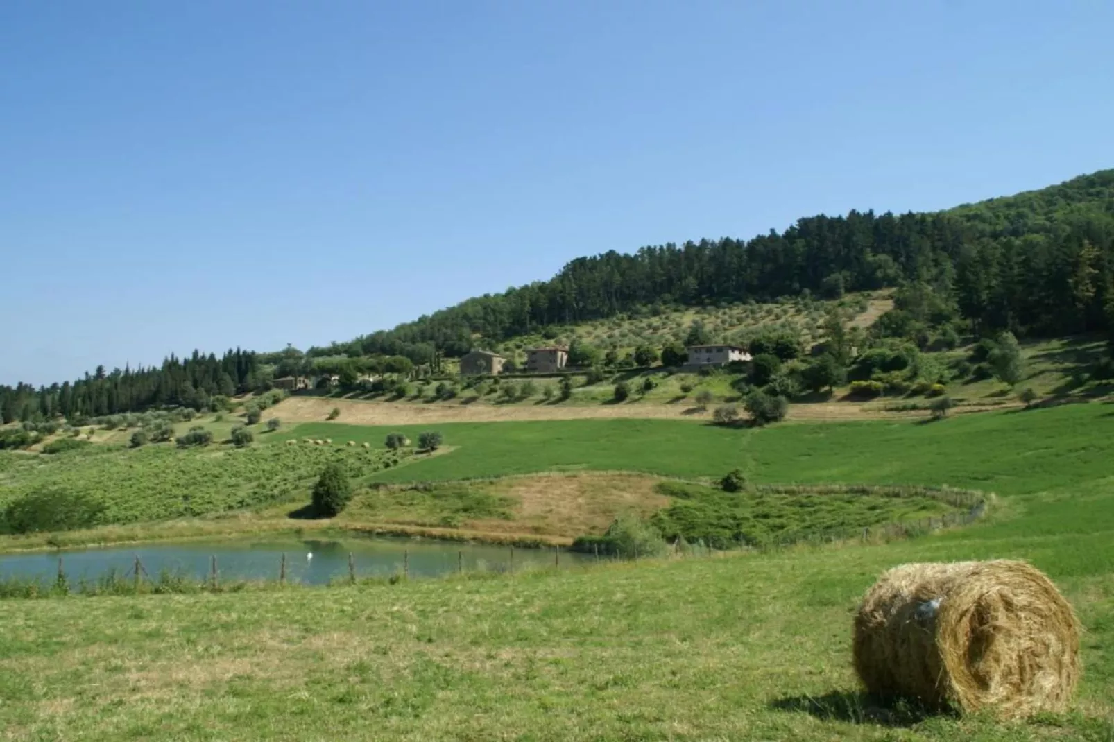 San Godenzo Sagrestia 2-Gebieden zomer 20km