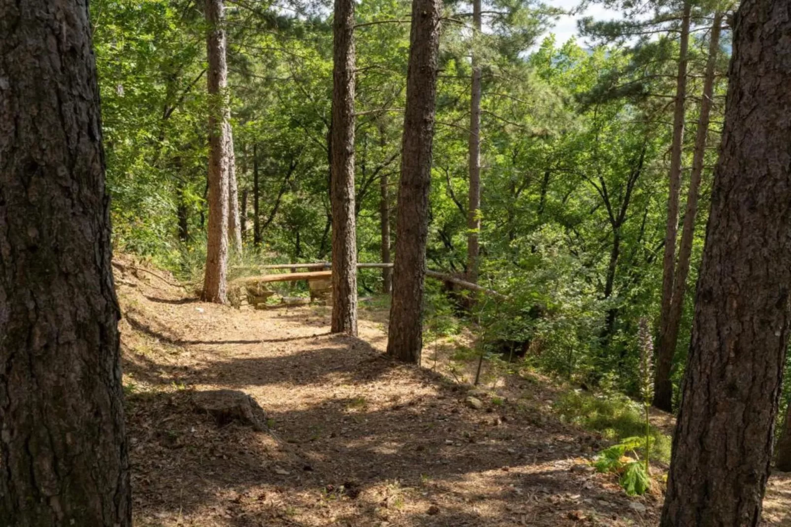 Il Ciliegio-Gebieden zomer 20km