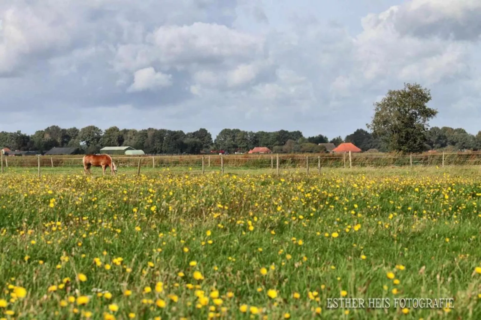 Ons Nestje-Gebieden zomer 20km