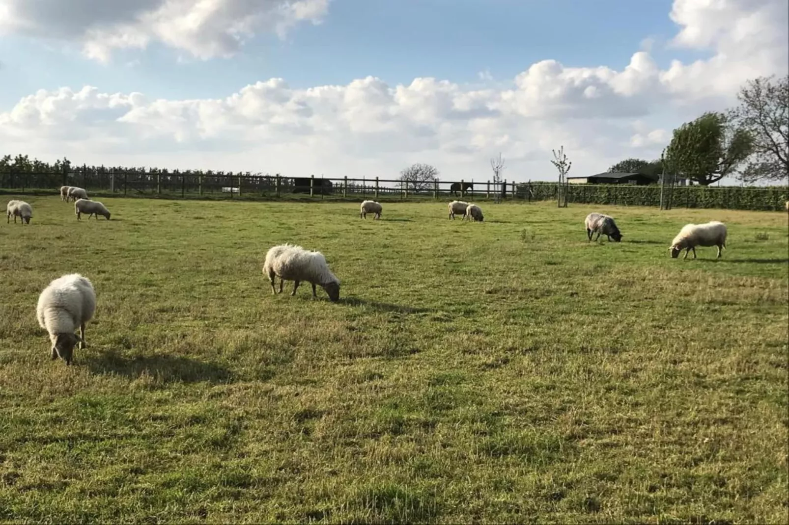Herenhoeve de Bockhof-Gebieden zomer 20km