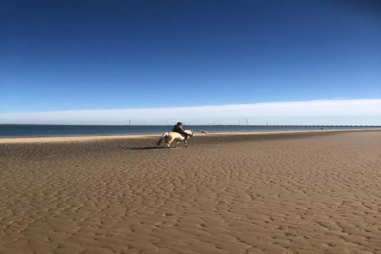 Appartement - Kon Emmaweg 6  beneden app-Gebieden zomer 20km